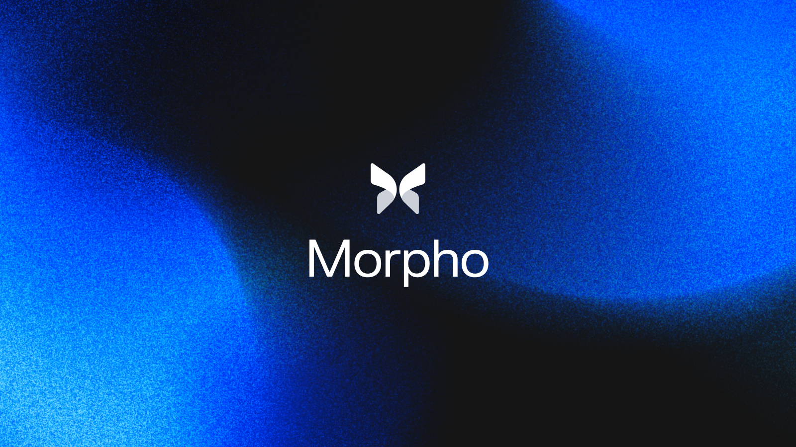 morpho-brand-guidelines